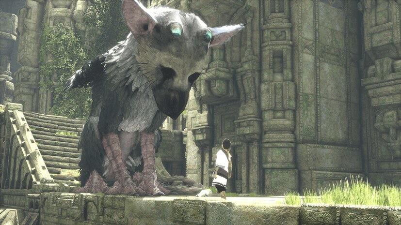 PS4 PRO على HDR , 4K ستحصل على دعم THE LAST GUARDIAN لعبة
