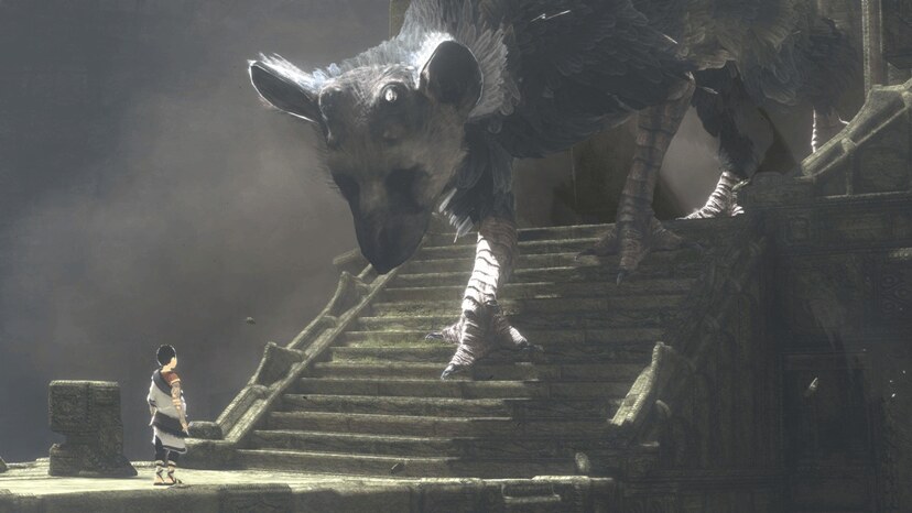  يعرض الان فى السينما الامريكيه The Last Guardian فيديو لعبه 