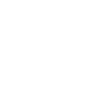 Electronic Arts