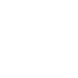 Numskull