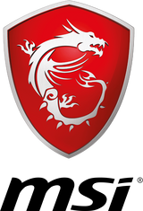 MSI
