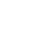 Saber Interactive Inc