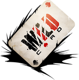 WILDCARD PROPERTIES