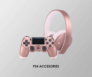 PS4 Accesories