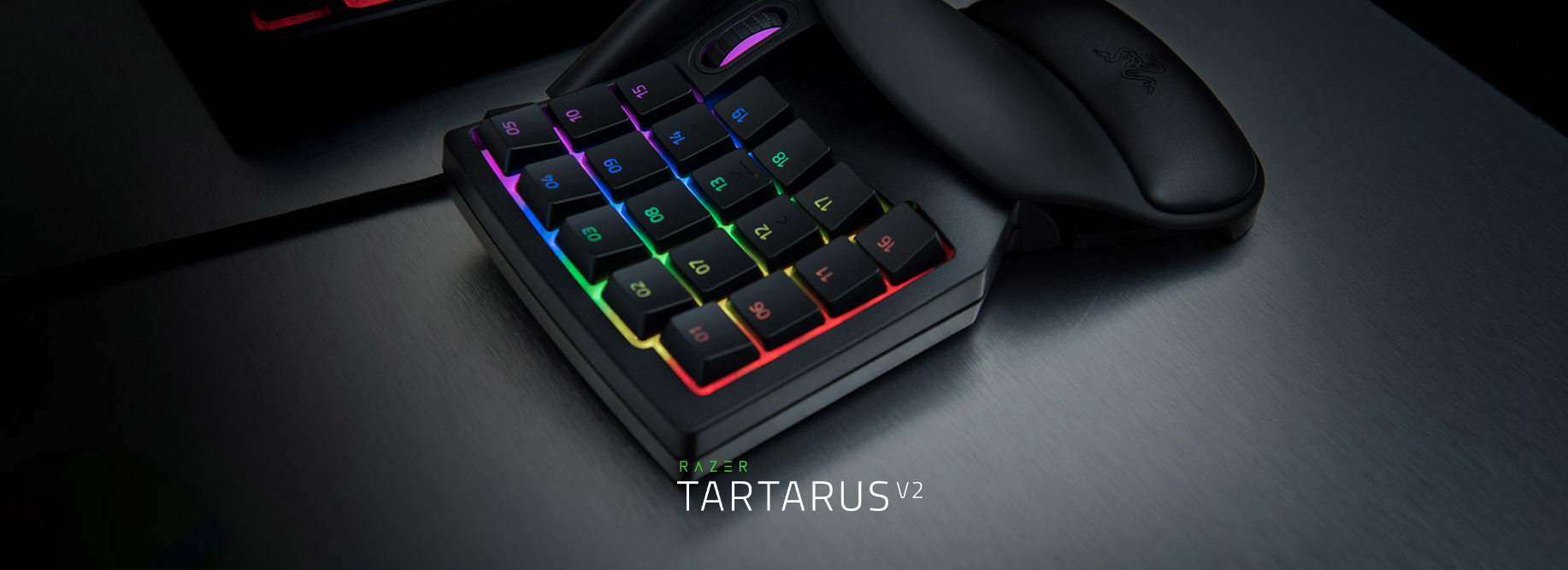 Razer Hand Fit Image