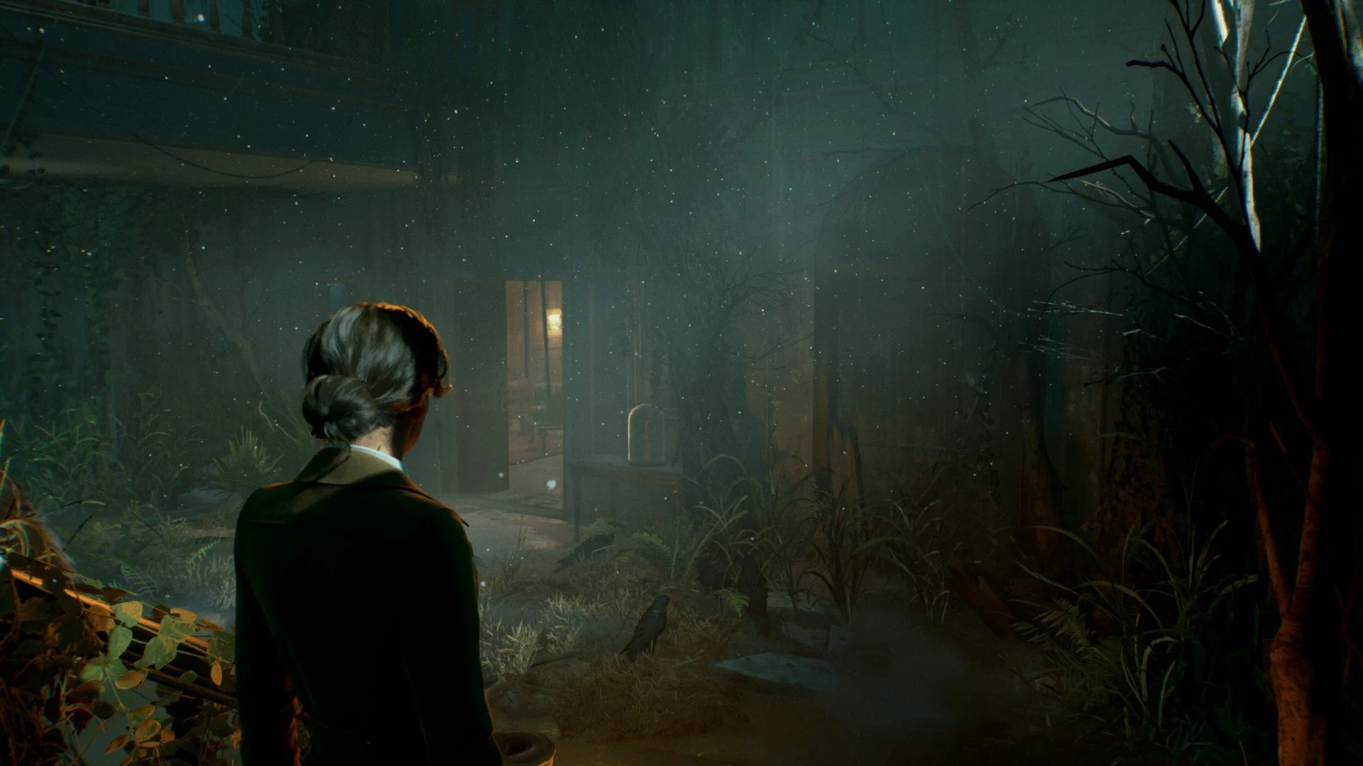 Alone in the Dark - PS5 - Used