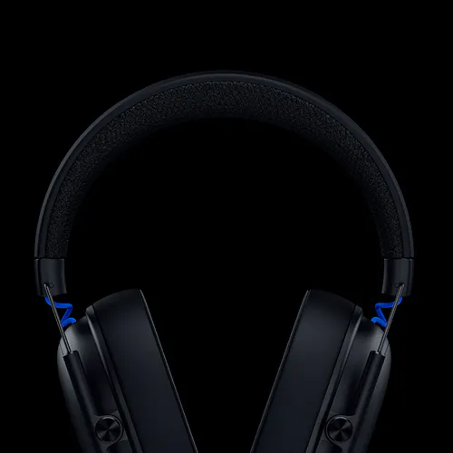 2.4 GHz and Bluetooth connectivity