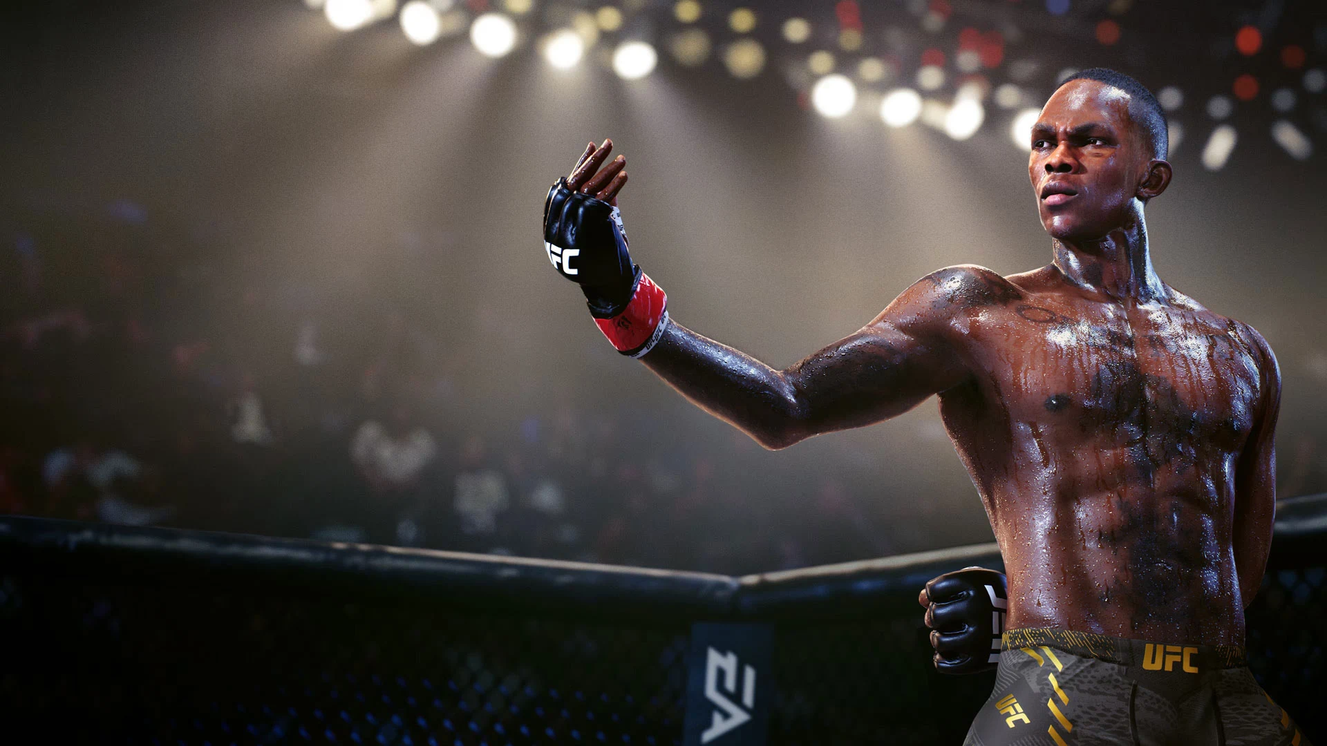 UFC 6 fighter fidelity