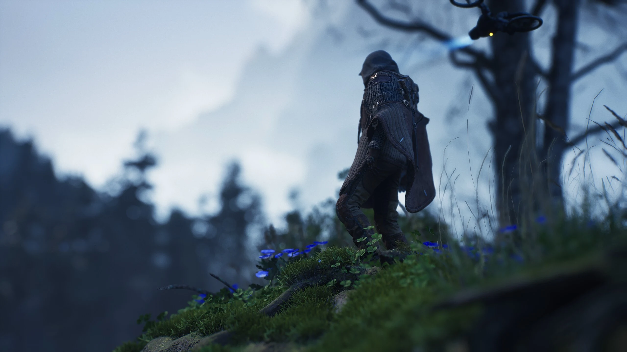 Solving environmental puzzles