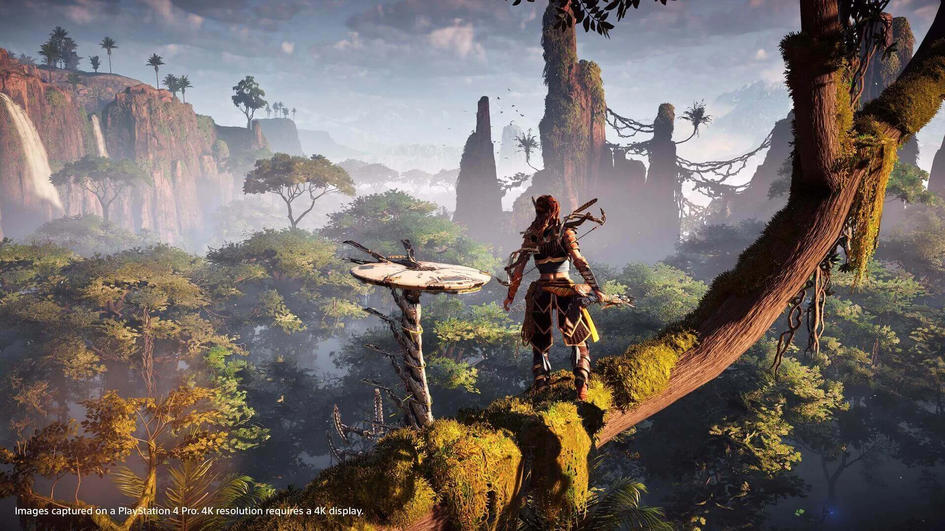 Horizon: Zero Dawn - PS4 - Used