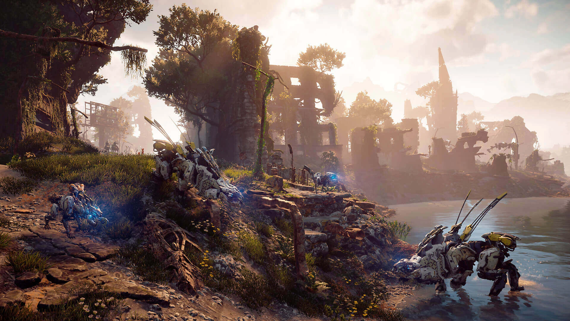 Horizon: Zero Dawn - PS4 - Used
