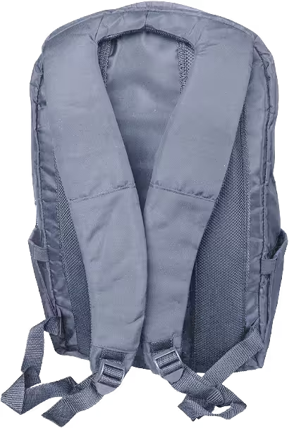 Gray PlayStation 5 console storage and carrying backpack