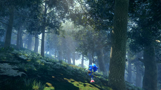 Sonic running in the woods