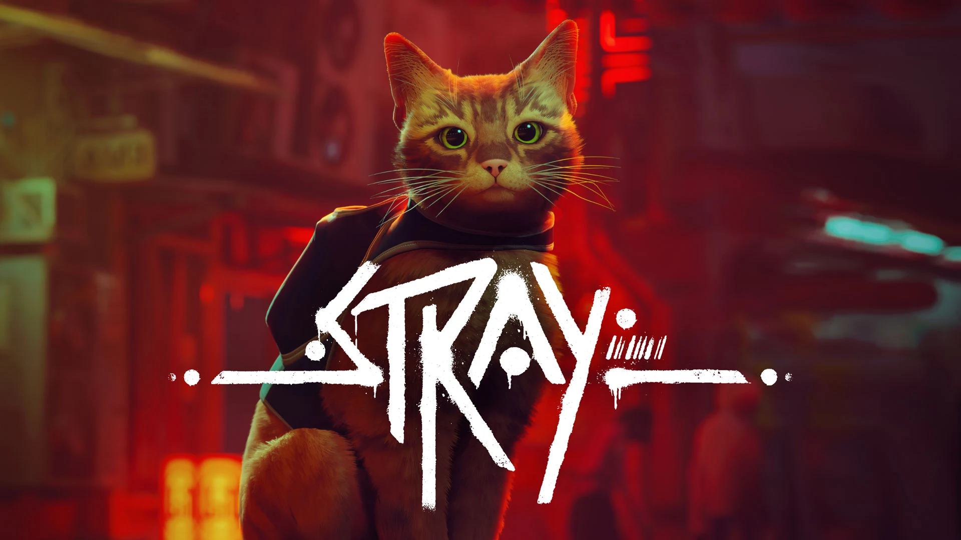 Stray - PS4 - Used