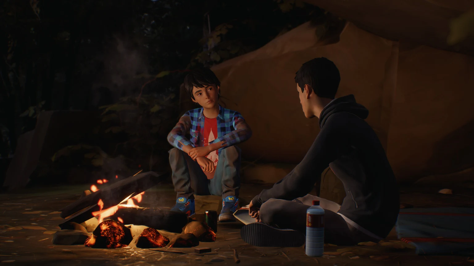 Life is Strange 2 - PS4 - Used