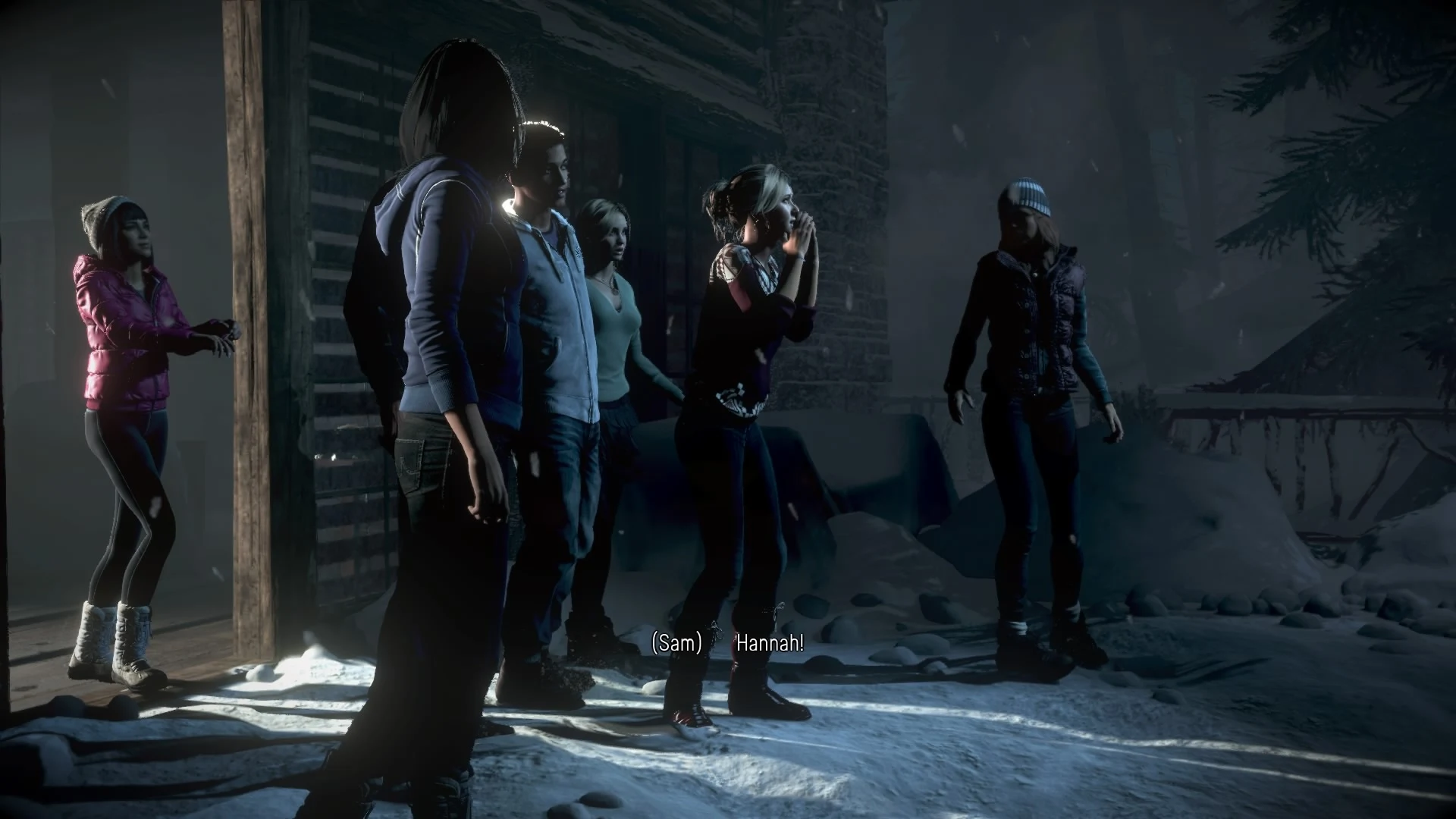 Until Dawn - PS4 - Used