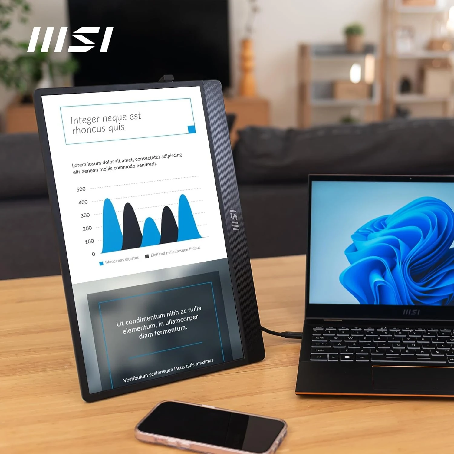 MSI PRO MP161 E2 – 15.6" FHD 60Hz IPS Portable Monitor