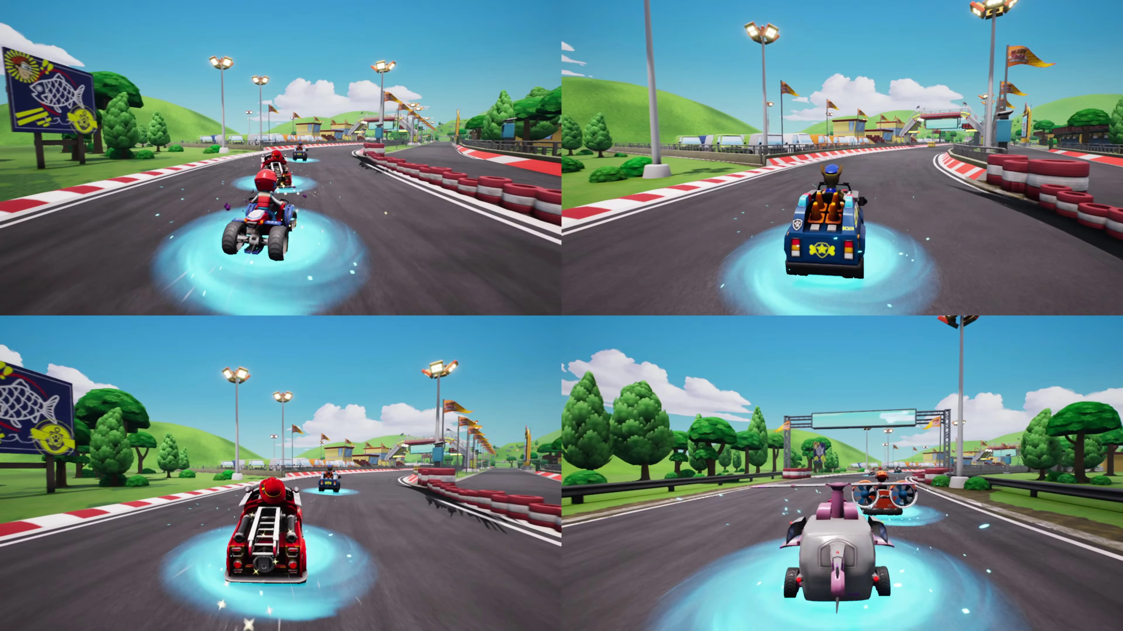 PAW Patrol: Grand Prix - PS5