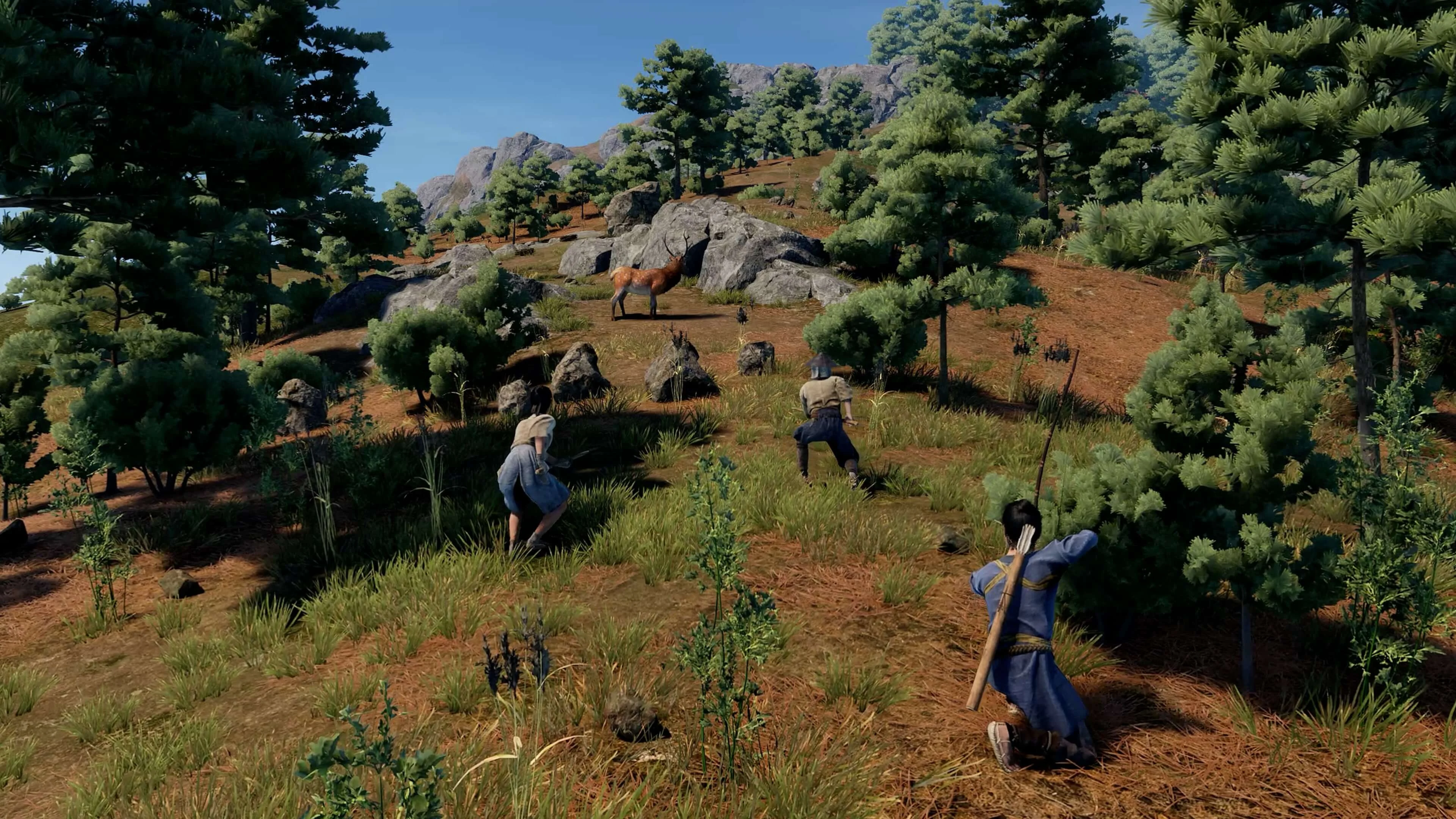 Sengoku Dynasty Ultimate Edition – PS5