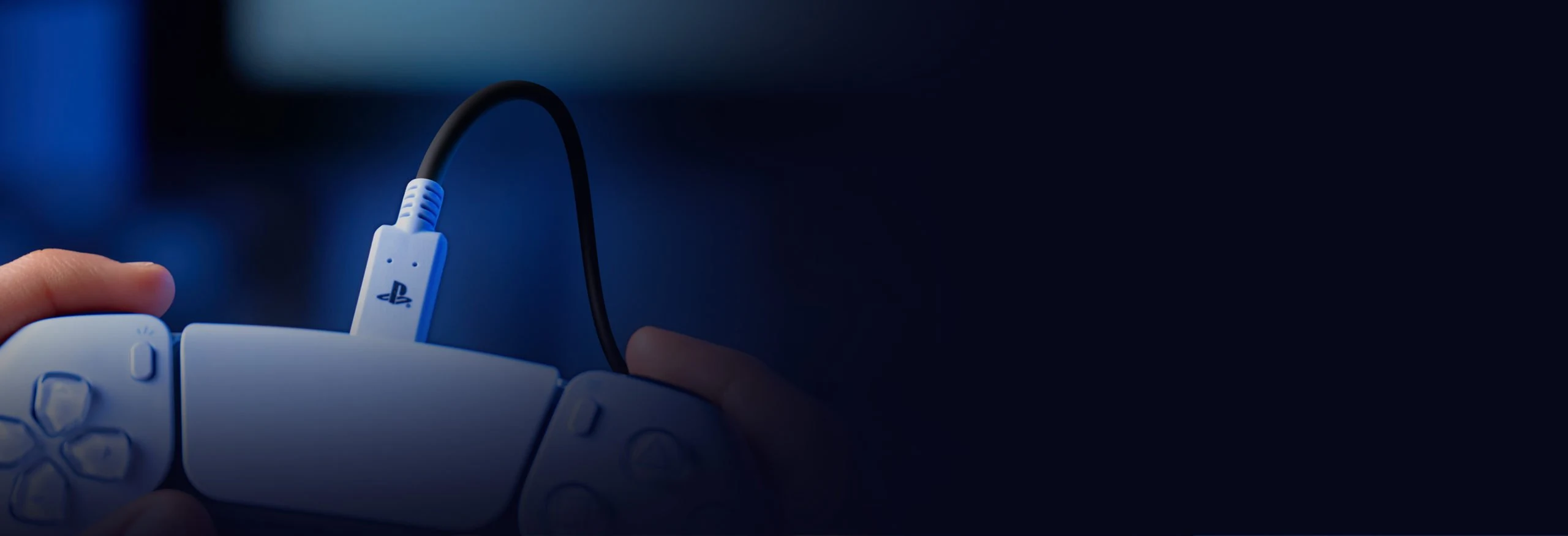 PowerA Officially Licensed USB-C To USB Cable for PS5 - 3M