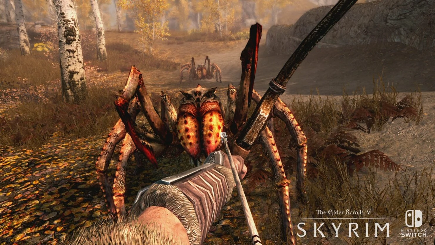 The Elder Scrolls V: Skyrim - Nintendo Switch 2 - Used