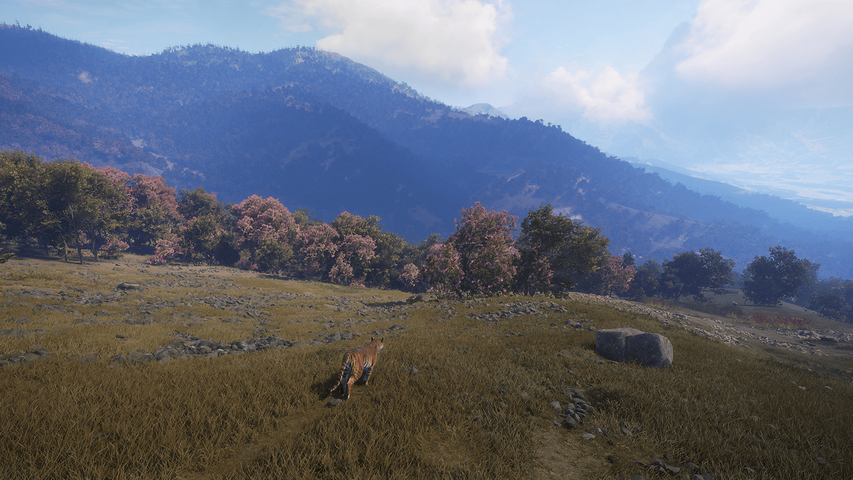 theHunter: Call of the Wild™ - Sundarpatan Nepal Hunting Reserve – image 6