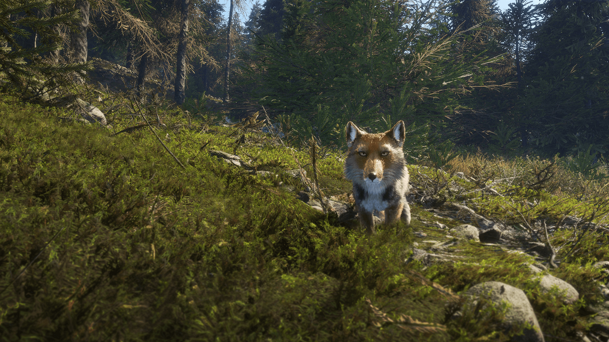 theHunter: Call of the Wild™ - Sundarpatan Nepal Hunting Reserve  للبيع في مصر من خلال Games2Egypt