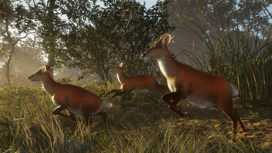 theHunter: Call of the Wild™ - Sundarpatan Nepal Hunting Reserve  للبيع في مصر من خلال Games2Egypt
