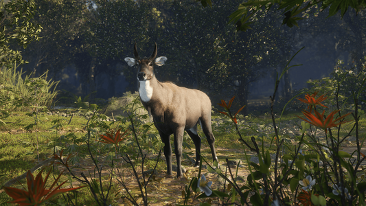 theHunter: Call of the Wild™ - Sundarpatan Nepal Hunting Reserve  للبيع في مصر من خلال Games2Egypt