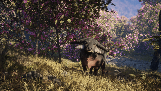 theHunter: Call of the Wild™ - Sundarpatan Nepal Hunting Reserve  للبيع في مصر من خلال Games2Egypt