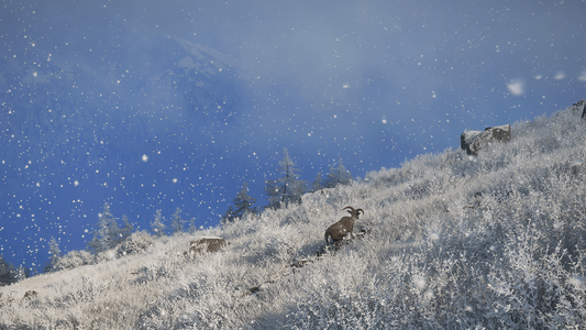 theHunter: Call of the Wild™ - Sundarpatan Nepal Hunting Reserve  للبيع في مصر من خلال Games2Egypt