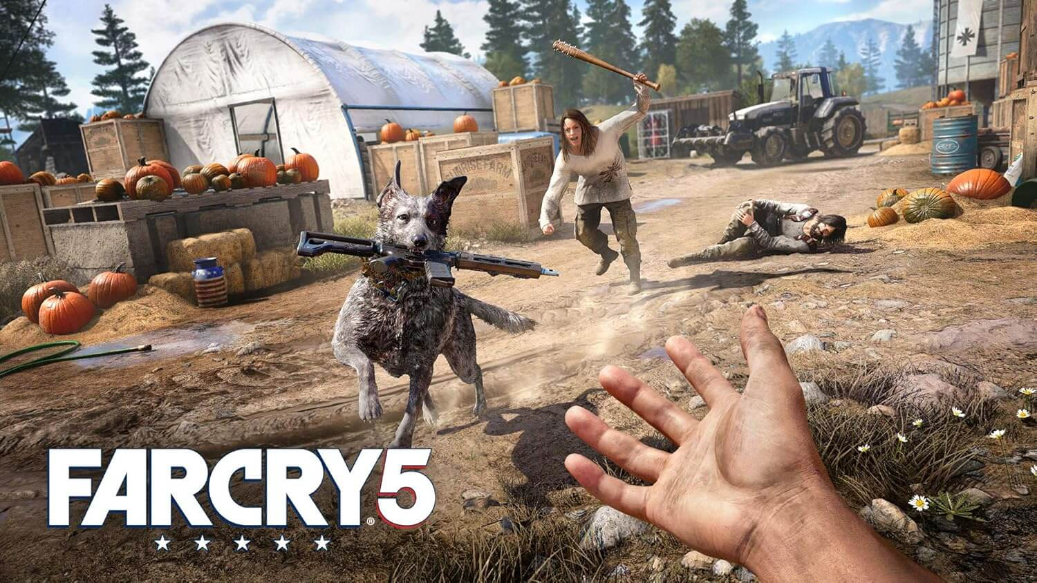 Far Cry 5/4 Double Pack - PS4 - Used – image 3