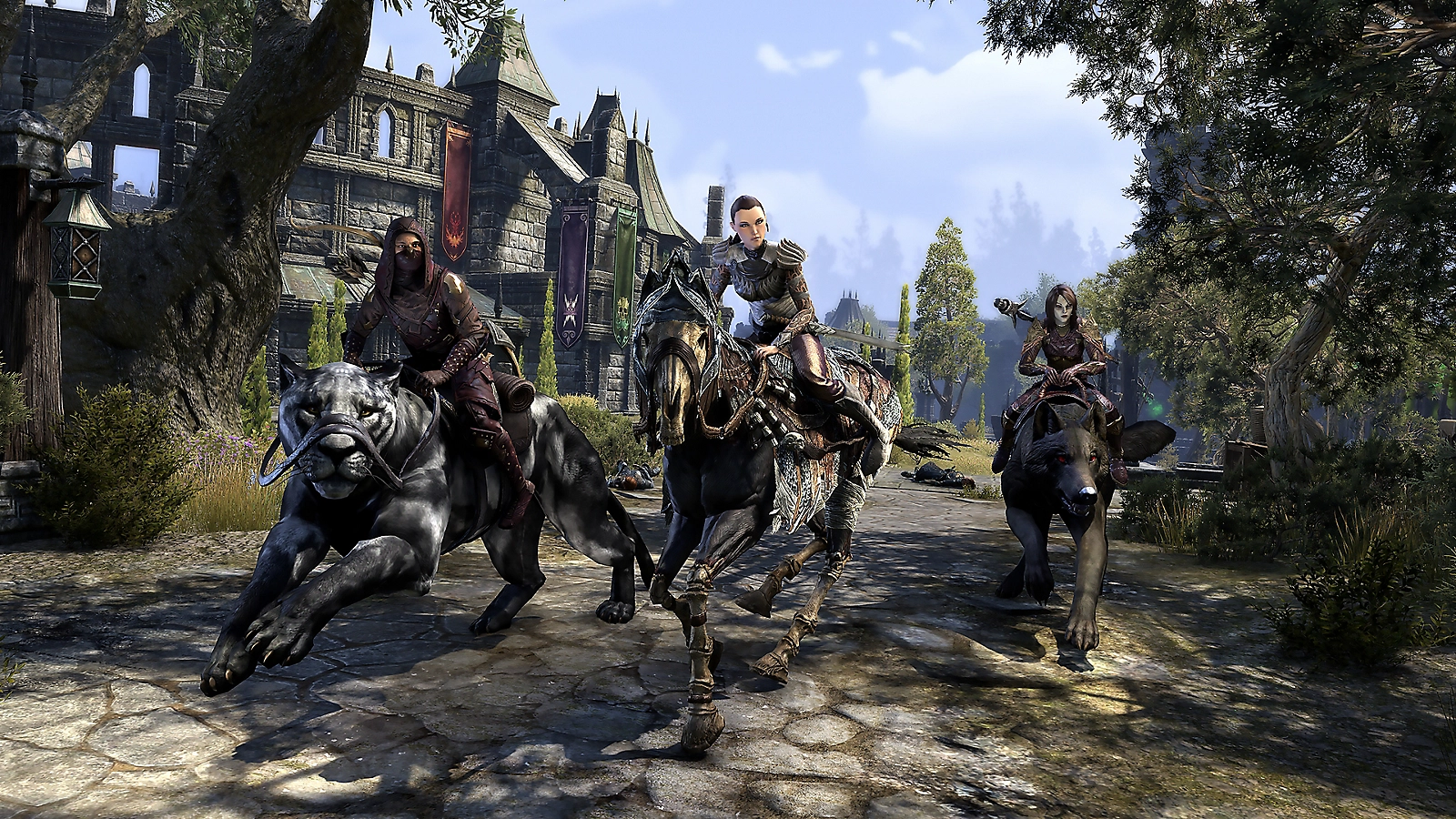 Elder Scrolls Online: Summerset - PS4  – image 5