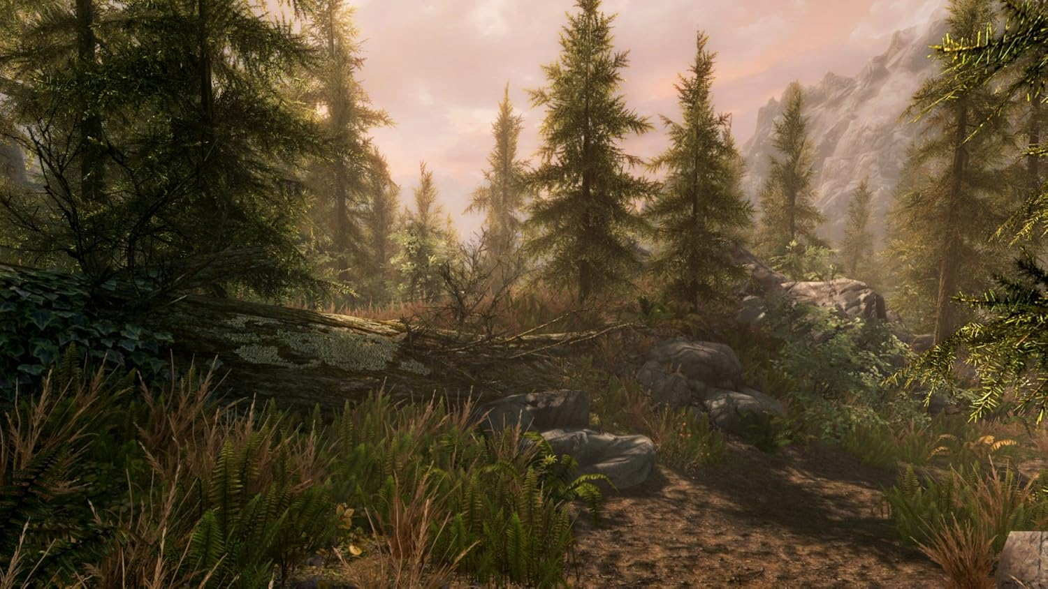 The Elder Scrolls V: Skyrim  - VR PS4 - Used – image 5
