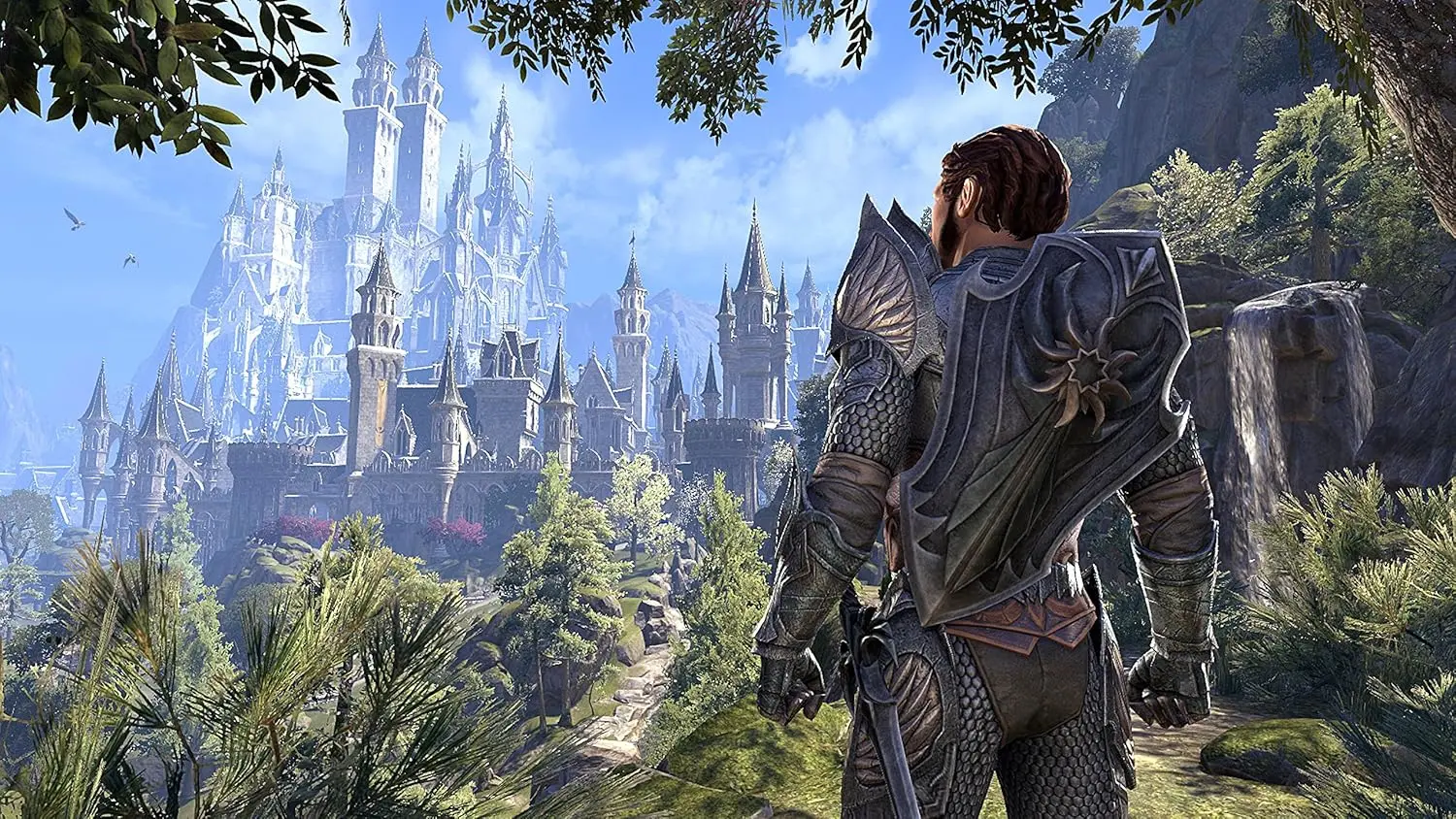 The Elder Scrolls Online Summerest - PS4 - Used  for sale in Egypt from Games2Egypt
