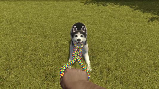 House Flipper Pets DLC  للبيع في مصر من خلال Games2Egypt