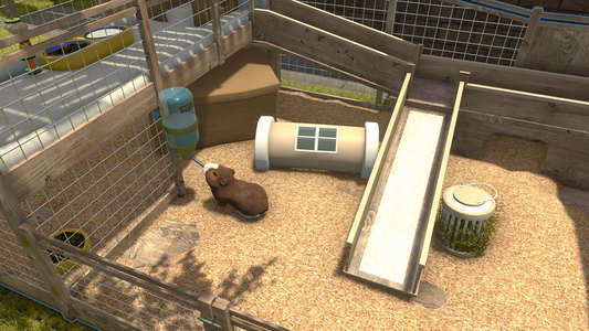 House Flipper Pets DLC  للبيع في مصر من خلال Games2Egypt