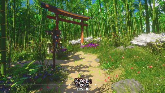 RONIN: Two Souls CHAPTER 1  for sale in Egypt from Games2Egypt
