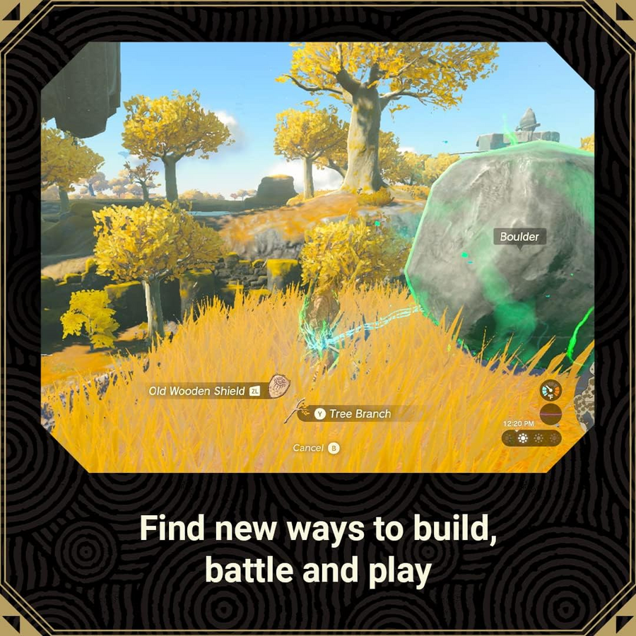 The Legend of Zelda: Tears of the Kingdom - Nintendo Switch – image 6