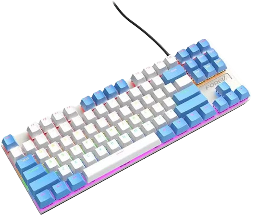 Keyboard FV-Q301 Rainbow TKL Mechanical Blue Switch – white blue