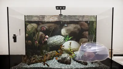 Aquatic Store Simulator  for sale in Egypt from Games2Egypt
