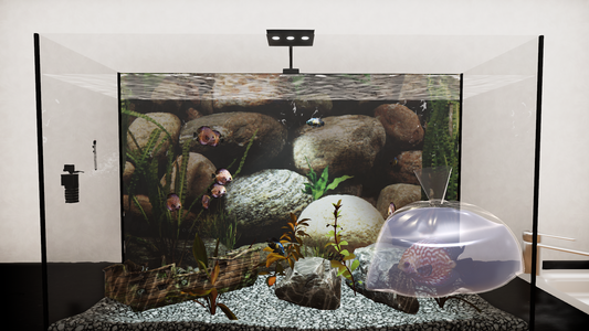 Aquatic Store Simulator  للبيع في مصر من خلال Games2Egypt