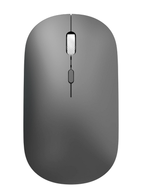 Forev Ergonomic Official Business Wireless Mouse - Gray