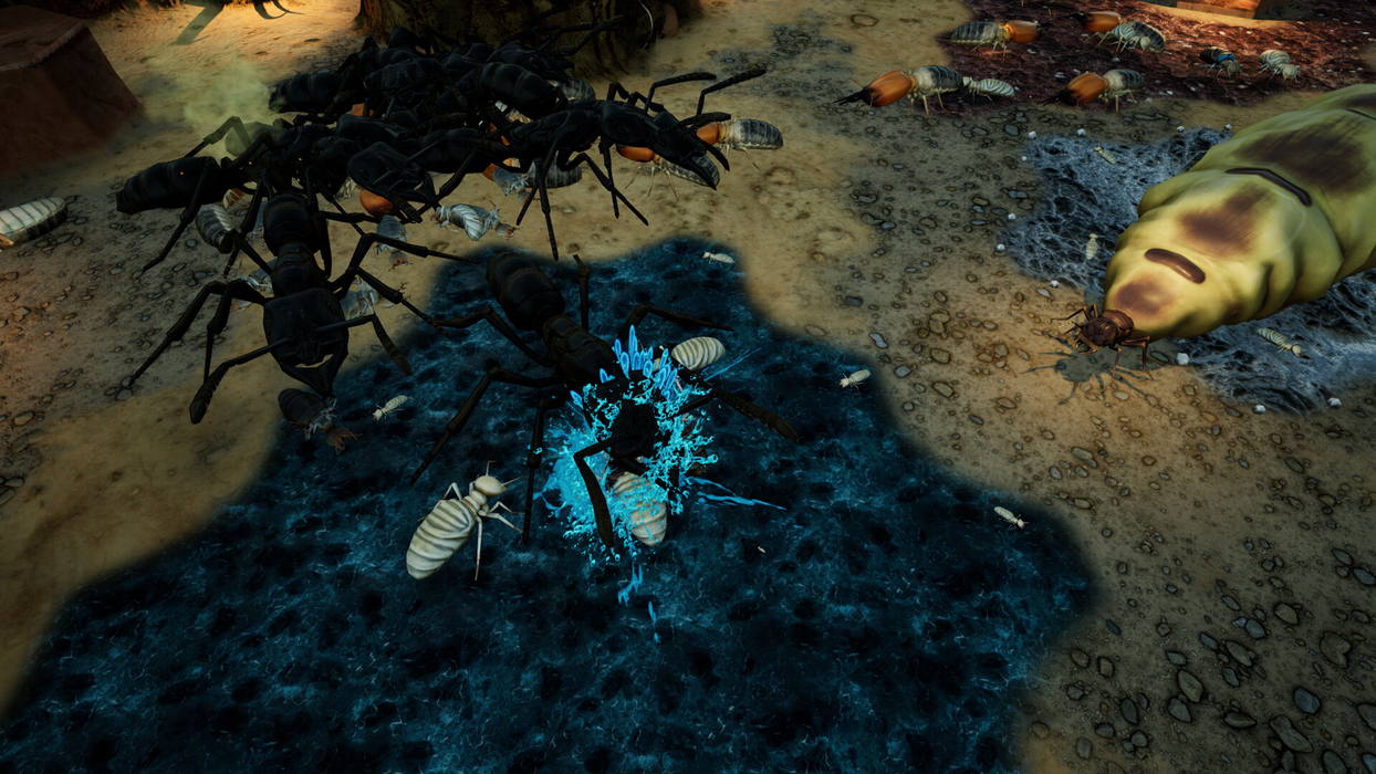 Empires of the Undergrowth - Exploding Ants  للبيع في مصر من خلال Games2Egypt