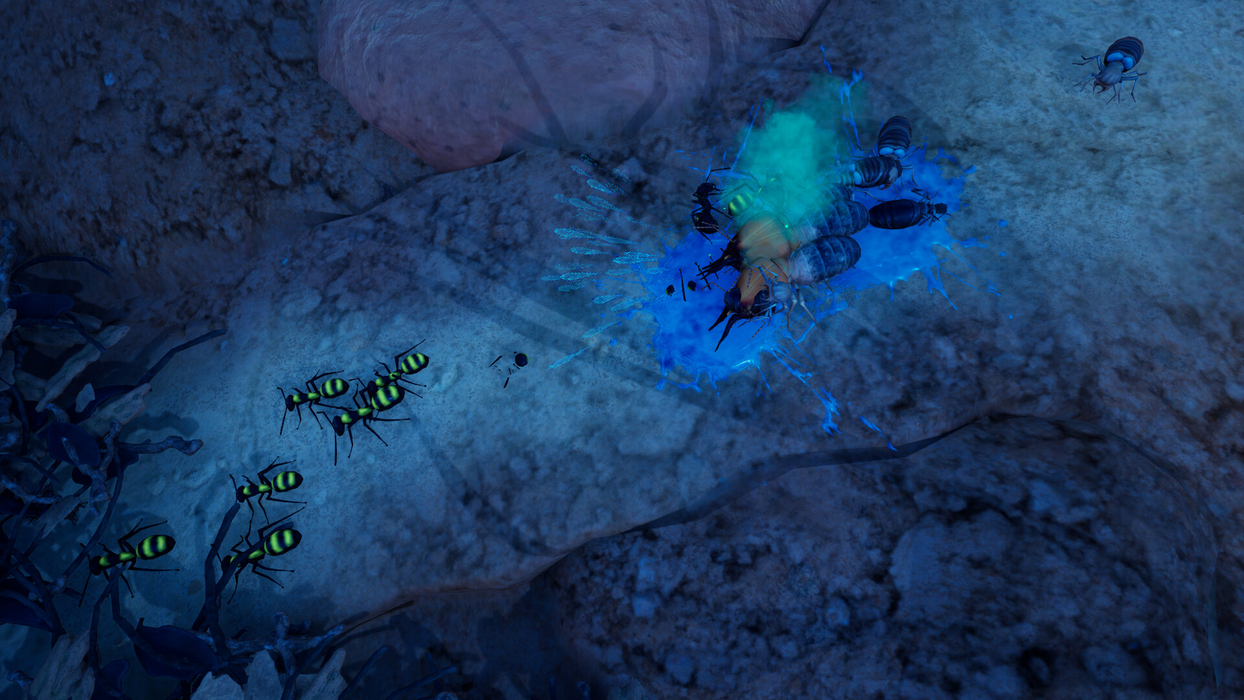 Empires of the Undergrowth - Exploding Ants  للبيع في مصر من خلال Games2Egypt