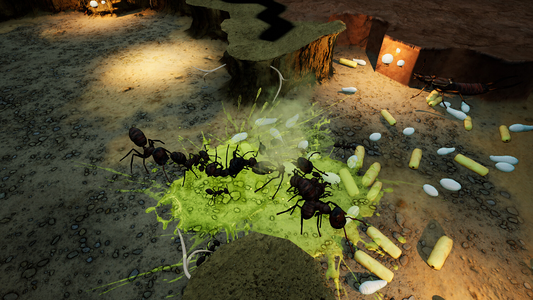 Empires of the Undergrowth - Exploding Ants  للبيع في مصر من خلال Games2Egypt