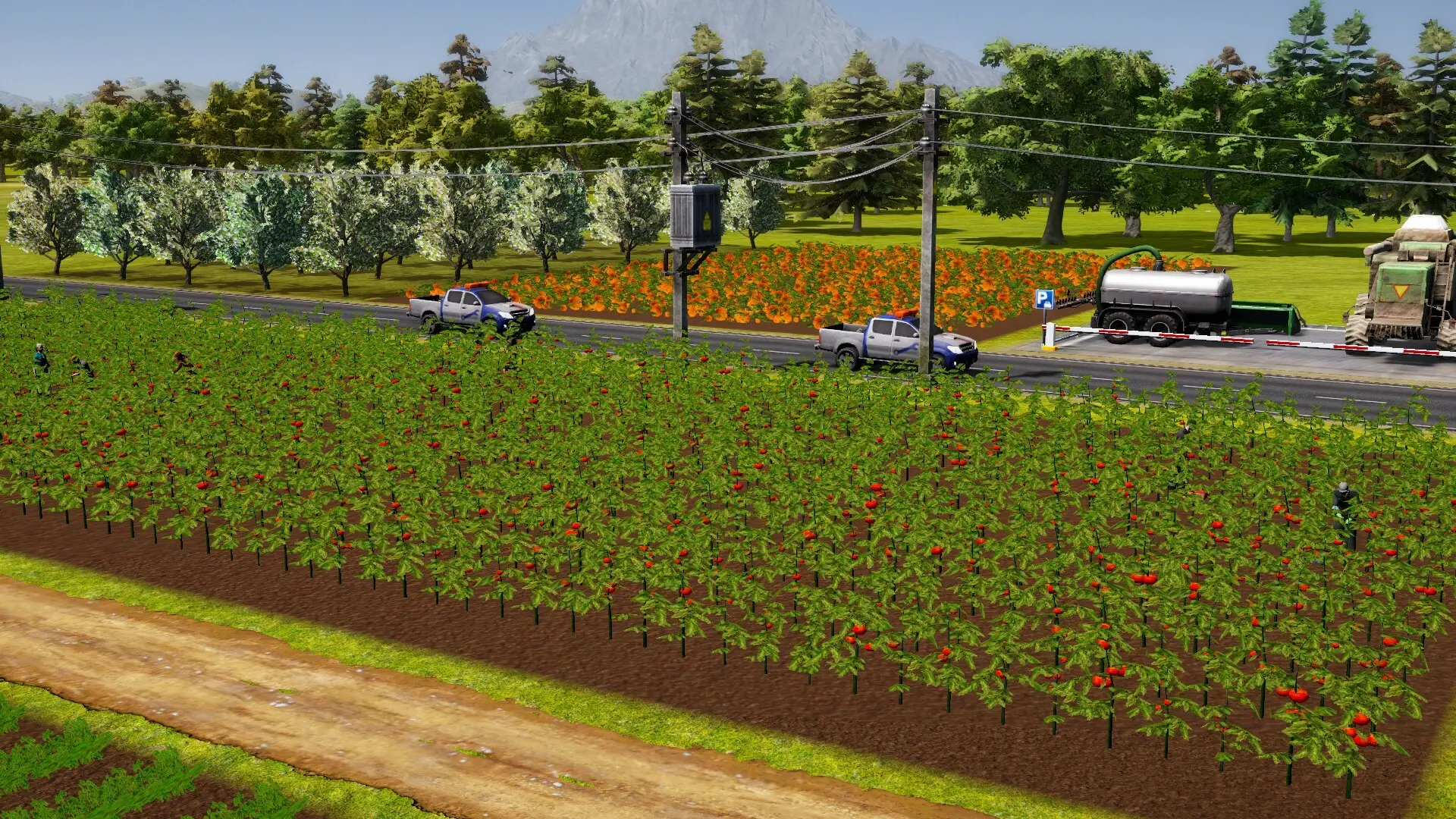 Farm Manager 2021  for sale in Egypt from Games2Egypt