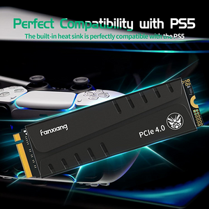 هارد SSD فانشيانج 4 تيرابايت S770 جين 4 مع مبرد حرارة ودي رام   للبيع في مصر من خلال Games2Egypt