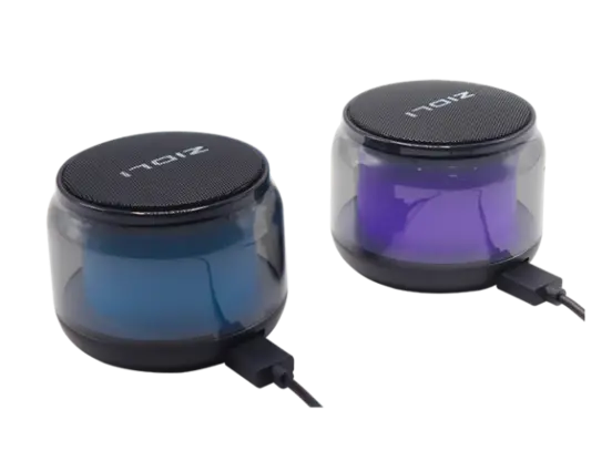 ZIDLI Speaker D80 budget-friendly