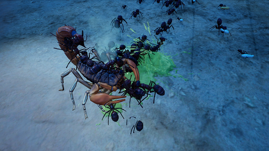 Empires of the Undergrowth - Exploding Ants  للبيع في مصر من خلال Games2Egypt